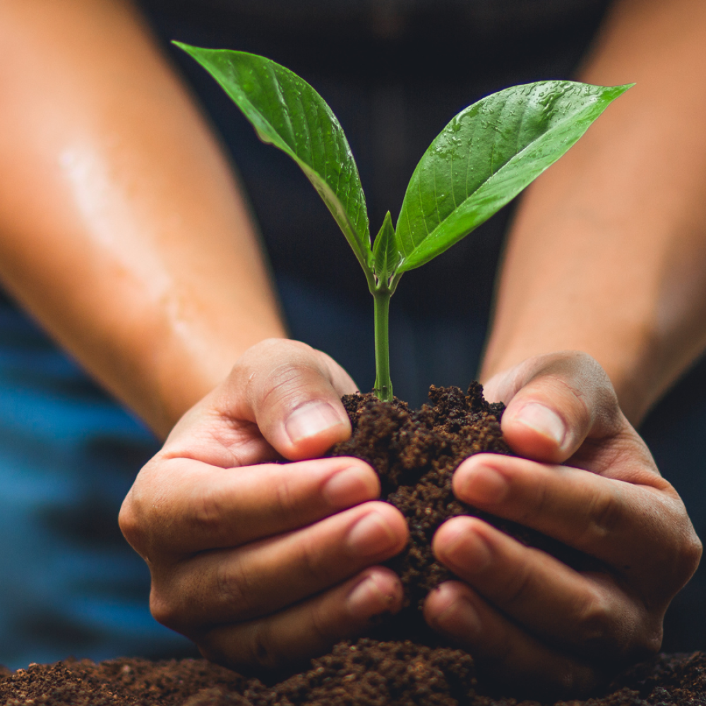 Diseño sin título (89)